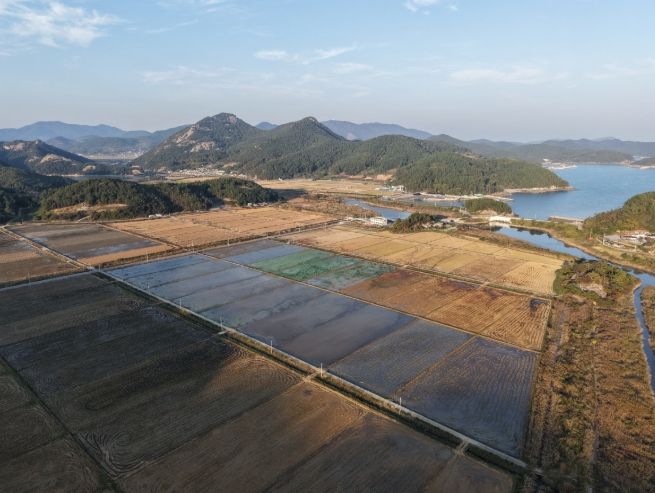 2026년 도화 구암 소규모 배수개선사업 15억 원 확보