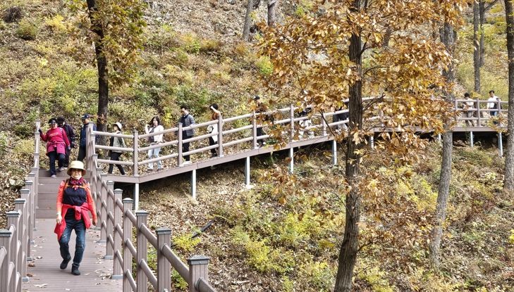 보은군, 단풍길 따라 힐링걷기‘속리산 둘레길 걷기 축제’ 성황리 마무리