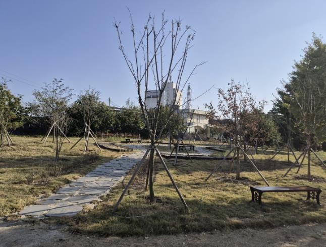 삽교초등학교 ‘학교숲’ 조성 모습