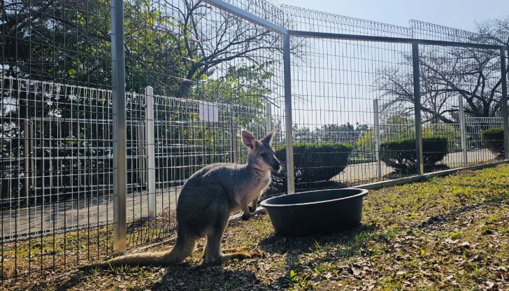 진주시 진양호동물원