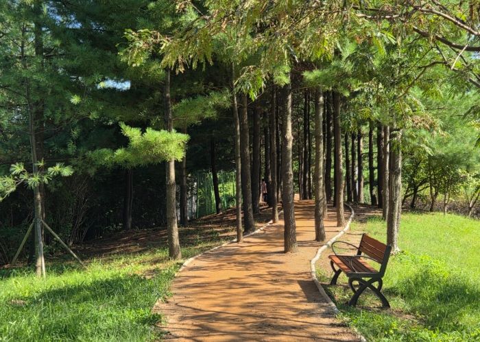 걸포중앙공원 맨발걷기길