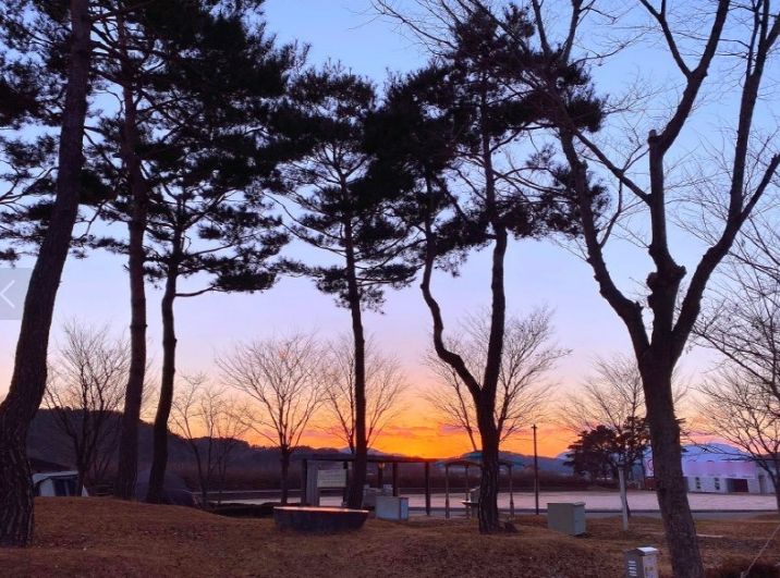 인삼골 오토캠핑장