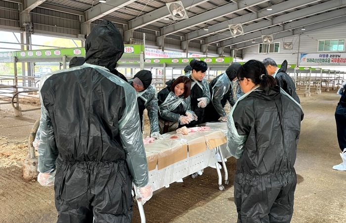 영암농업대학생, 한우 인공수정 실습 교육 받아