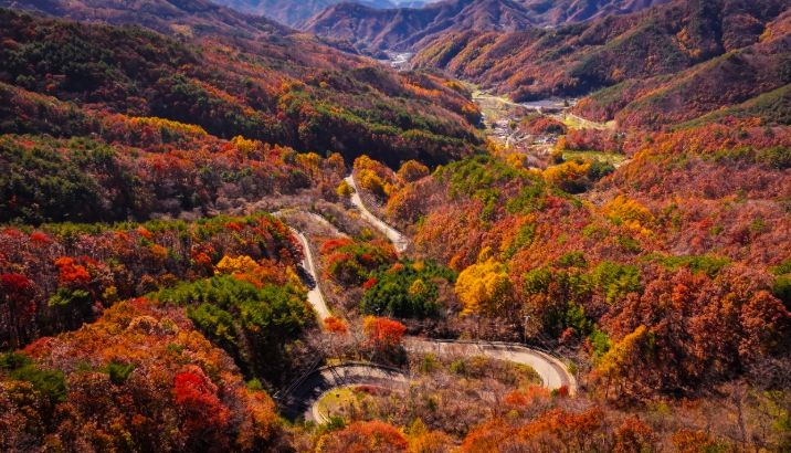 영동의 대표 관광명소 ‘도마령’