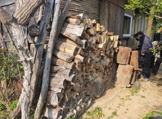 영암군, 가을철 소나무류 이동 특별단속 추진