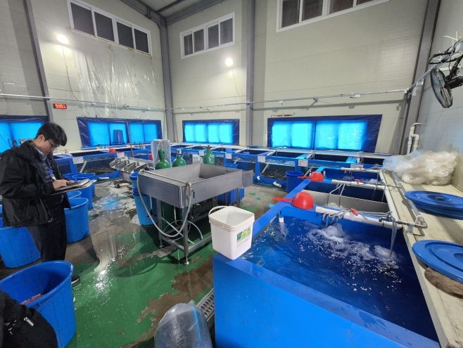 국내산 민물장어로 둔갑된 중국산 장어 현황판을 확인 중인 중부해경과 수품원 공무원