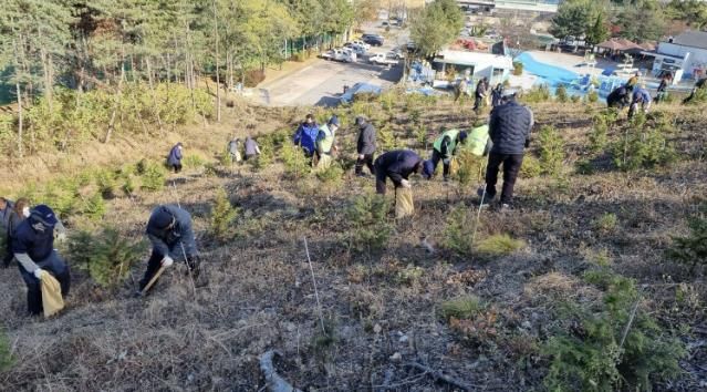 18일 안산시 백운공원에서 열린 비료시비 행사에서 참여자들이 고형복합비료 시비 활동을 진행하고 있다.