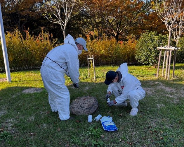 영광군, 동절기 모기 유충구제 집중 추진