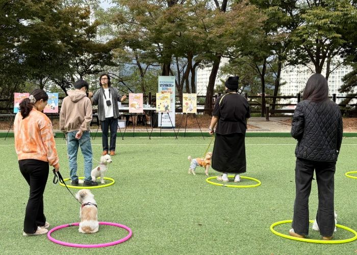 지난 9월부터 2개월간 진행된 광산구 ‘반려동물과 함께하는 문화교실’에서 시민과 반려동물이 함께 교육을 받고 있는 모습.