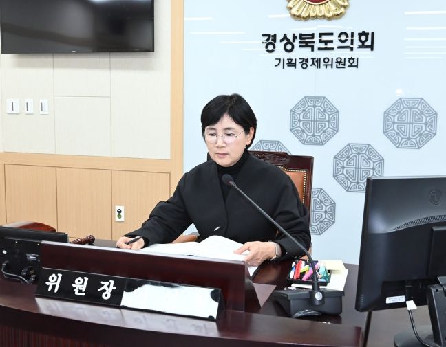 에너지국, 메타국 행감 진행하는 이선희 기획경제위원장