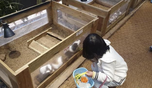 굼프로 곤충체험학습장