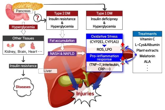 수의학과 배춘식·안태호 교수, AM 학회지 인용도 1위 논문 선정