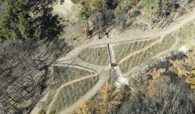 용인특례시가 수지구 죽전동에 조성한 '도시 숲' 모습