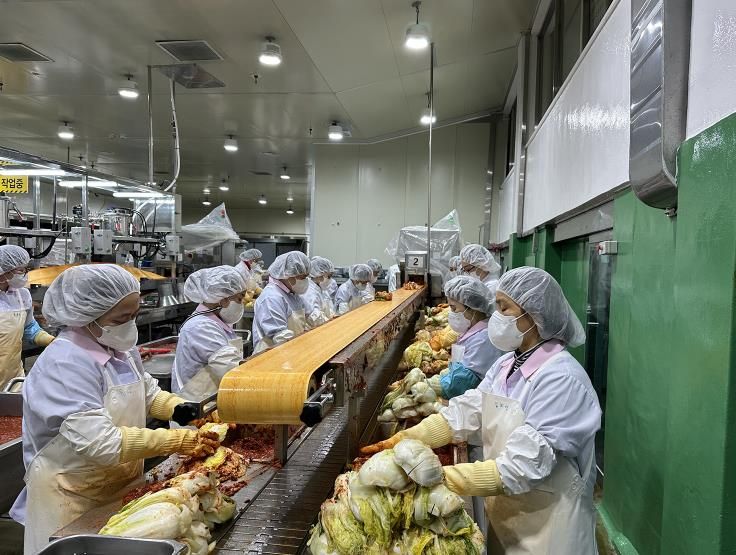 안동시, 김장철 식재료 안전검증 완료