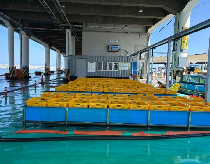 주문진항 위판장에 청정 해수공급