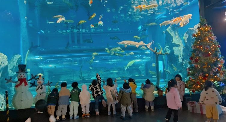 충북아쿠아리움에서 만나는 특별한 크리스마스