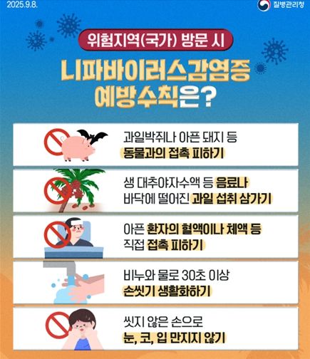 니파바이러스 예방수칙 질병청 카드뉴스