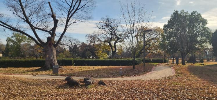 광양시 고즈넉하고 유서 깊은 겨울 여행지, 광양 유당공원