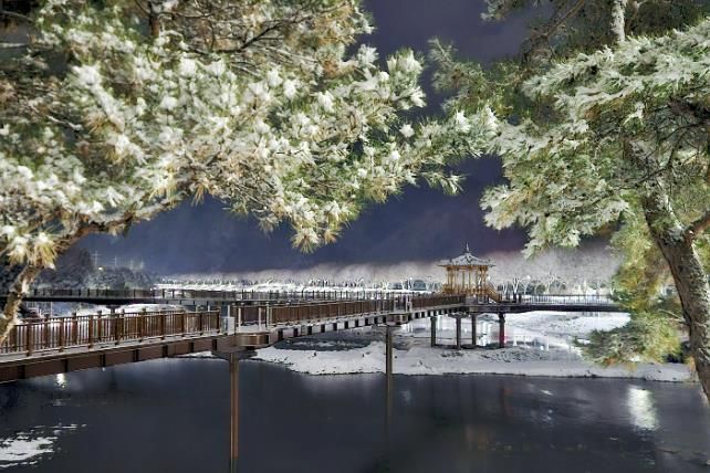 첫눈 내려 드러난 괴산 에코브릿지의 겨울 밤빛