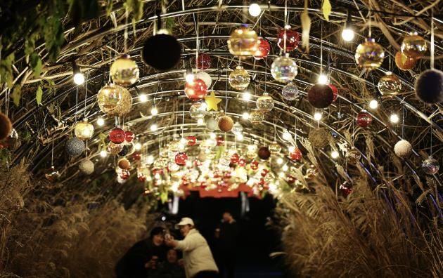 2025함평겨울빛축제 전경