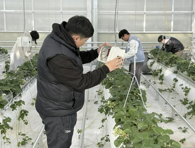 준공된 스마트팜 실습장에서 국립공주대학교 스마트팜공학과 학생들이 실습을 하는 모습