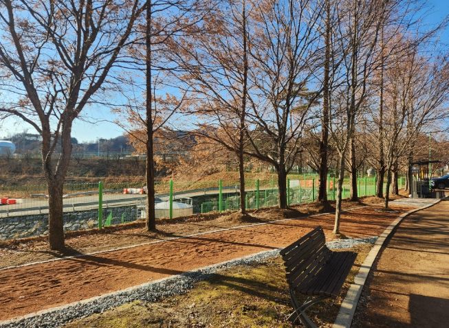 영월군 스포츠파크 맨발걷기 길 조성