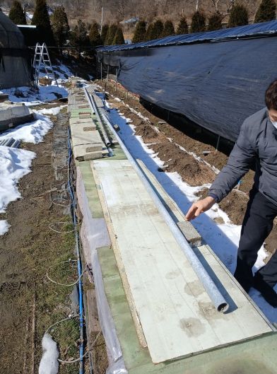 양봉농가 봉군 관리 현장