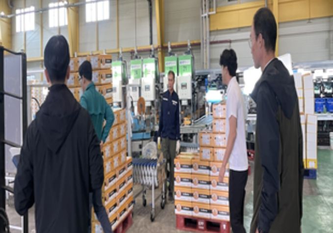 상품 외 감귤 유통 ‘전면 차단’ 집중 단속