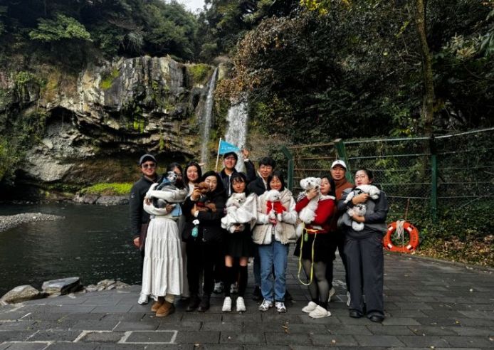 댕댕이와 비행기타고 서귀포 여행