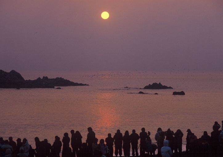 문무대왕릉 해맞이 모습