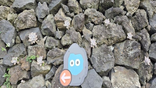 최우수상 - 밭담 넘어 꽃담마을