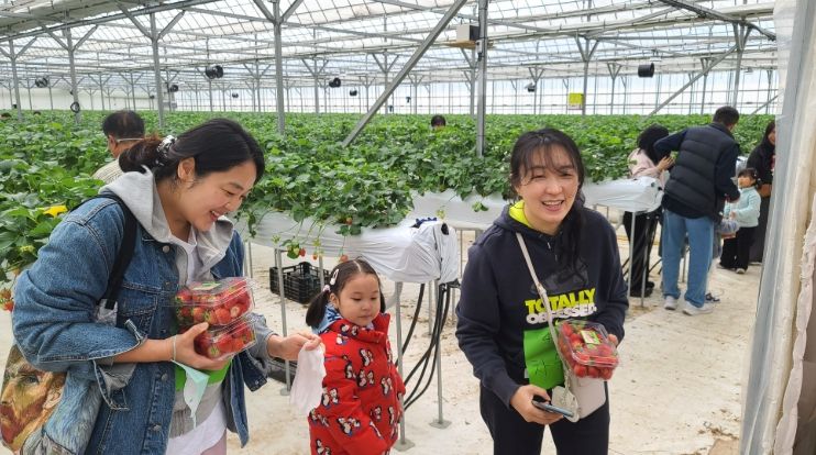 담양 물구십리 마을