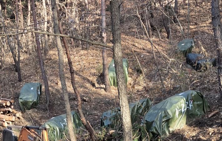 안동시, 소나무재선충병 훈증더미 4,500개 제거