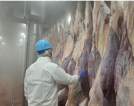 설 명절 축산물 안정적 공급 위해 도축장 조기 개장