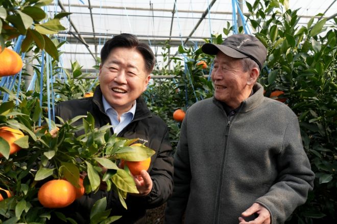 만감류 레드향 본격 출하에 따른 현장 방문