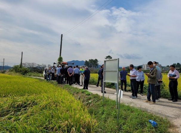신품종 벼 실증으로 농가 선택폭 확대