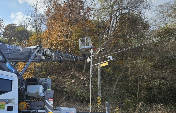 양구군, 자연재해 및 주택피해우려목 제거사업 추진