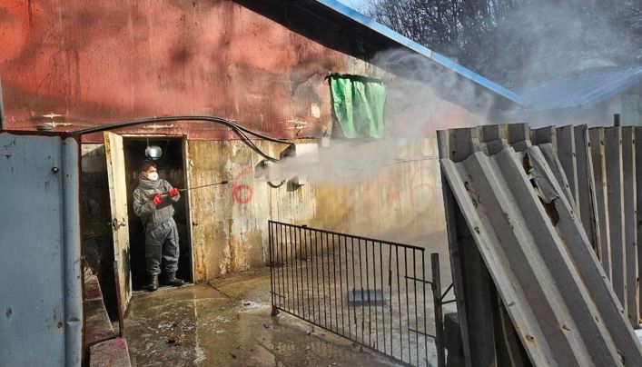 강릉 농가 아프리카돼지열병 발생, 춘천시 ‘긴급방역’ 총력