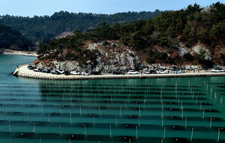 ‘장흥 매생이 양식장’ 사진명소로 각광