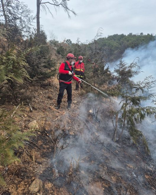 산불 진화 및 인화물질 제거 활동