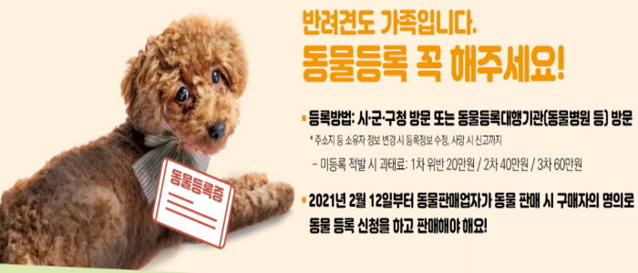 동물등록제 비용 지원사업 홍보물