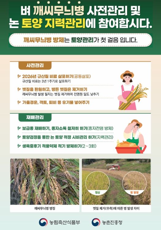 사천시, 벼 깨씨무늬병 예방 총력