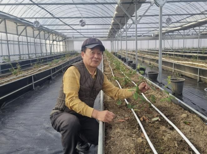 블루베리 하우스