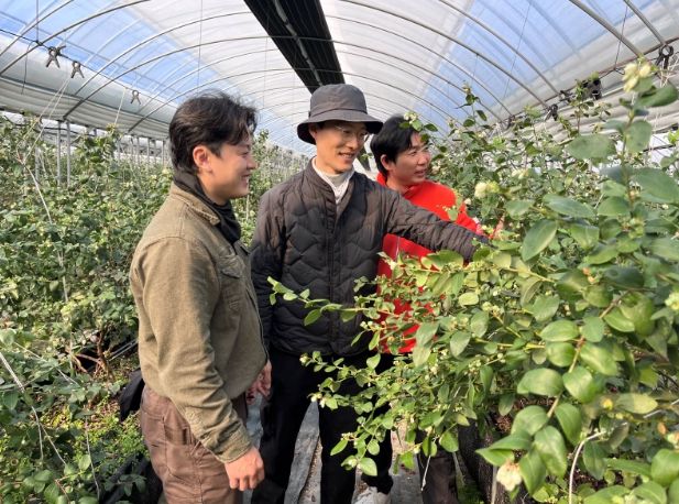 곡성에서 블루베리 영농에 종사하는 청년 농업인들