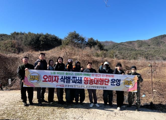 문경시, 전국 최초‘오미자 삭벌·파쇄 영농대행단 운영