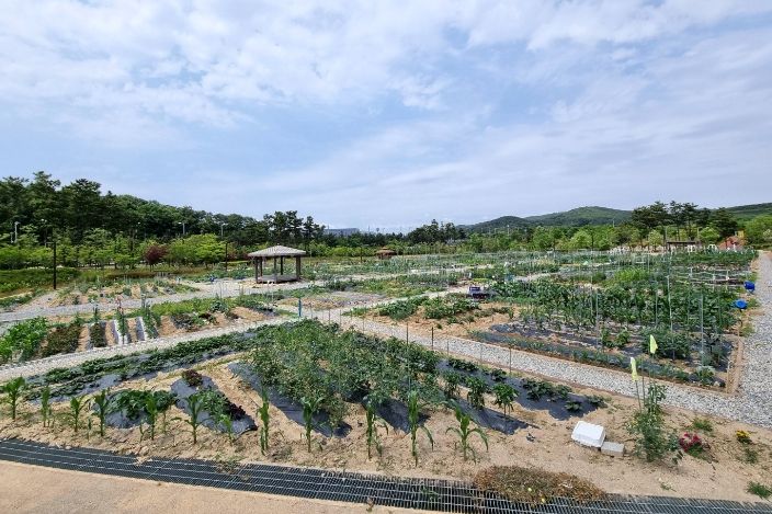 인천중구시설관리공단, 2026년 도시농업활동 참여자 모집