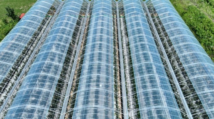 기후변화 대응 스마트사과재배로 사과 재배