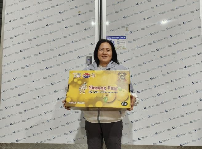 상주시, 자연재해도 이겨낸 황금빛 배 특성화 전략으로 수출 경쟁력 키운다