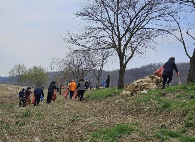 진천군 하천 정화활동 사진