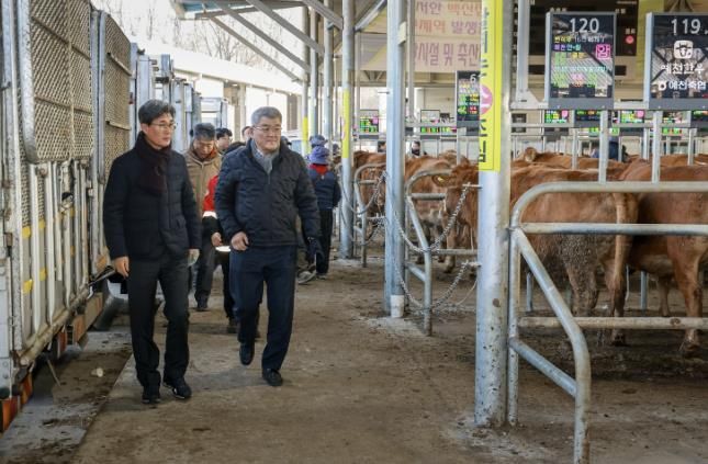 새해우시장방문